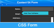 css form