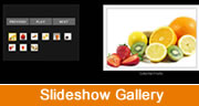 Create a beautiful Slideshow Gallery in Fireworks CS4