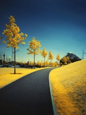 Empty Road